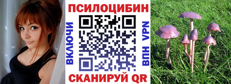 Галлюциногенные грибы GOLDEN TEACHER  сколько стоит  Ленинск 